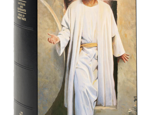 Scripture Skins